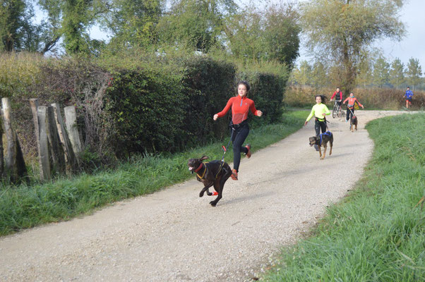 C'est parti pour un tour de canicross