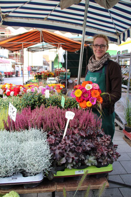 Alles was grünt und blüht, hat Gartenbau Struck im Angebot. Nehmen Sie sich eine Strauß frischer Blumen mit.