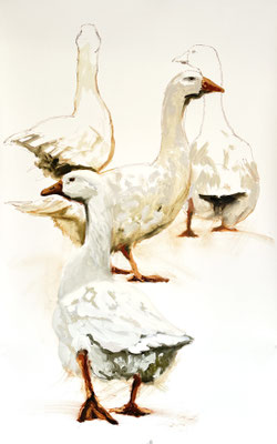Four geese, oil on paper 130x85cm, sold, © Philine van der Vegte