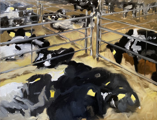 Calves at the livestock market, oil on paper 50x65cm