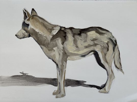 Freyja, oil on paper 56x76cm © Philine van der Vegte