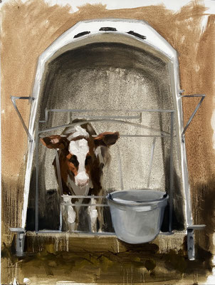 Calf study, oil on paper 50x65cm © Philine van der Vegte