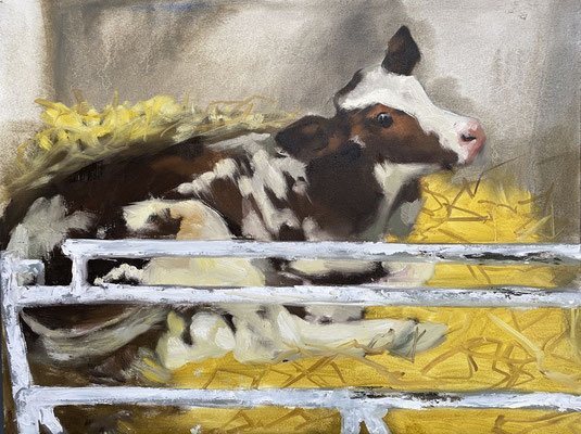 Calf study, oil on paper 50x65cm © Philine van der Vegte