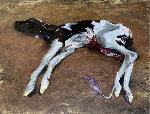 Newborn calf, oil on paper 50x65cm, 2021