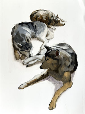 Slow down, oil on paper 76x56cm © Philine van der Vegte