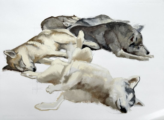 Mid-morning nap, oil on paper 56x76cm bu Philine van der Vegte