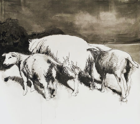 Looking back, charcoal and ink on paper 107x120cm sheep by animal painter Philine van der Vegte