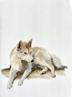 Puppy, oil on paper 56x76cm by Philine van der Vegte