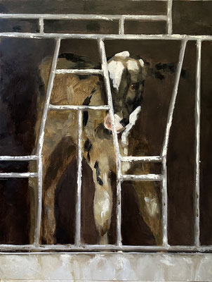 Calf study, oil on paper 50x65cm © Philine van der Vegte