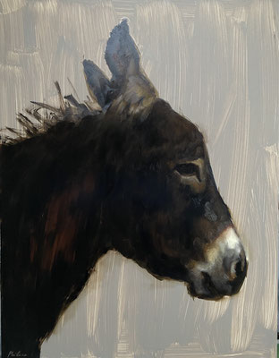 Donkey face, oil on panel 65x50cm, donkey by animal painter Philine van der Vegte SOLD