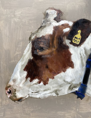 Portrait study of a cow, oil on wood 65x50cm © Philine van der Vegte