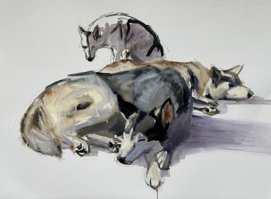 Working dogs, oil on paper 56x76cm by Philine van der Vegte