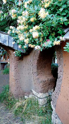 魅力的に開花する植物を選ぶと美しさと力強さに的を絞れる。Photo by Chris McClellan