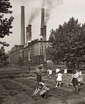 1944年7月のニューヨーク市：学校の戦時下菜園。First Ave. にて。