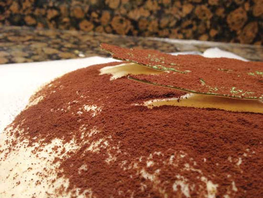 ステンシルとして厚紙や薄いプラスチックを試し、違った効果が出る小麦粉とココア粉の両方をまぶそう。Photo by Rebecca Martin