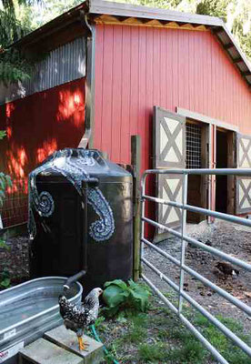 この貯水槽で筆者の小屋の金属屋根か ら雨水を集める。満杯になると、水は 家畜に流れ、その後、菜園へ。