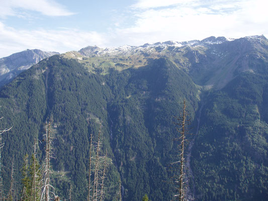 Blick auf den Sooler Wald