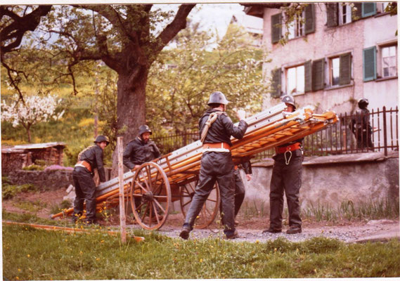 Rettungsdienst mit der Strebenleiter beim Löwen