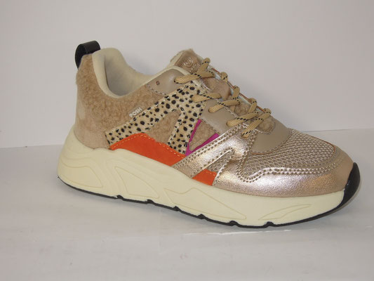Poelman - 36/41 - 69€