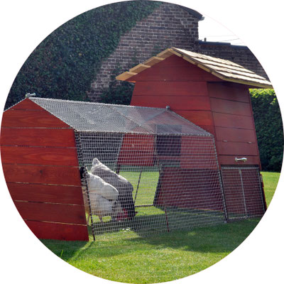 Vous Pouvez Louer Un Poulailler Pour Un Ou Plusieurs Mois