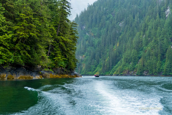 Misty Fjord