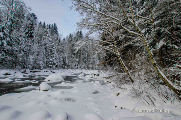 An der Sihl im Winter