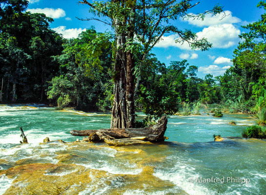 Agua Azul, Mexiko