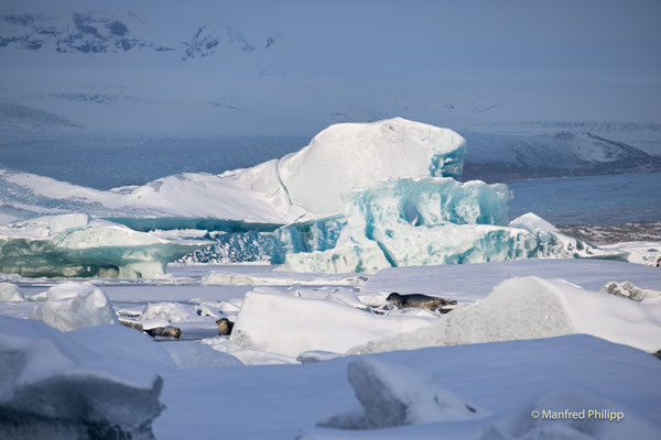 Southcoast Iceland, Jökulsárlón