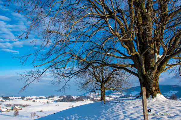 Winterlandschaft, Kanton Zug