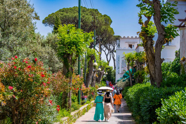 Capri