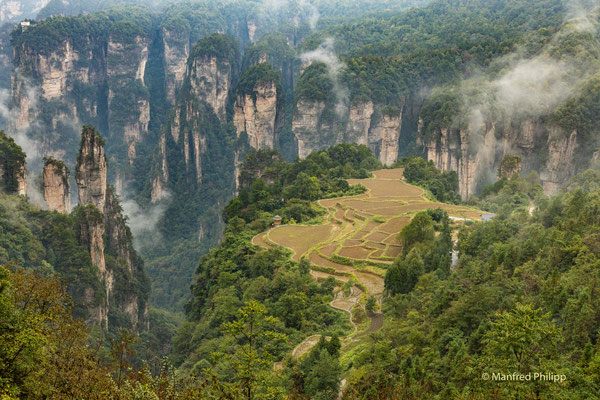 Reisterassen in Zhangiiajie