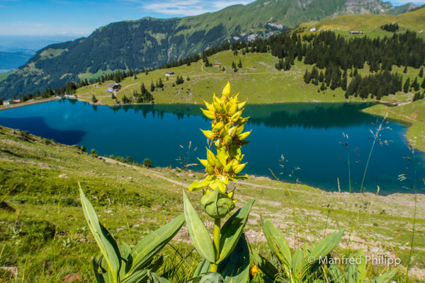 Bannalpsee