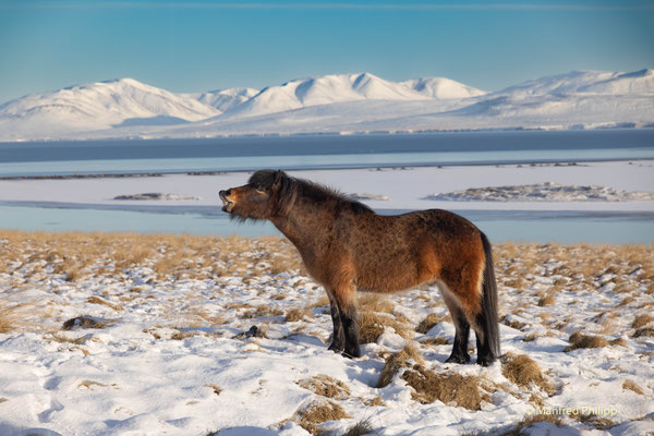 Iceland, Winter