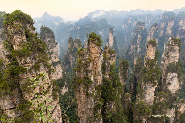 Avatarberge in Zhangiiajie