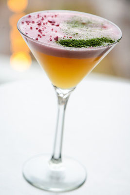 First Impressions with Artez Eau de Vie de Poire, Marie Duffau Armagnac Napoleon, and St. Germain Elderflower liqueur