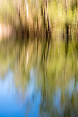 Oberwaldsee, Karlsruhe, März 2020