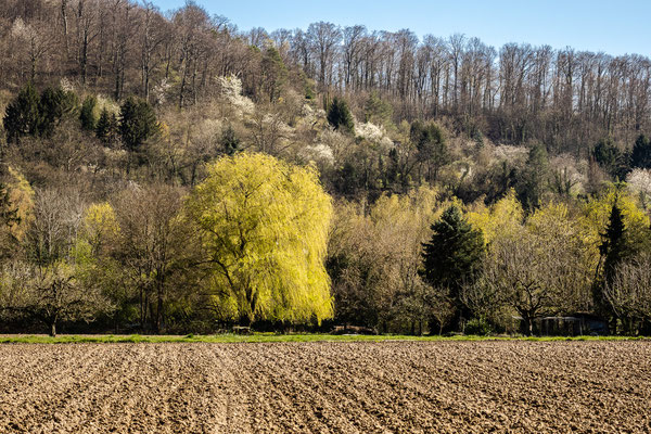 Grötzingen, Karlsruhe, März 2020