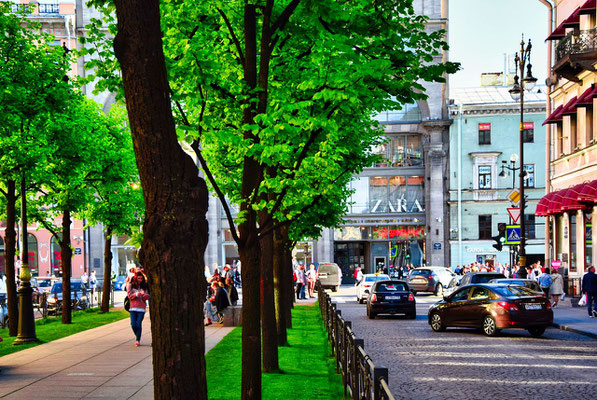 grüne Allee am Newski Prospekt