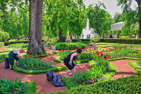 Gärtner bei der Blumenpflege im Hintergrund der Brunnen Snop