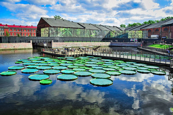 Teich in Neuholland