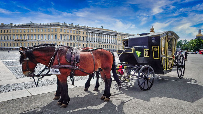 Pferde und Kutsche auf dem Palastplatz in Sankt Petersburg