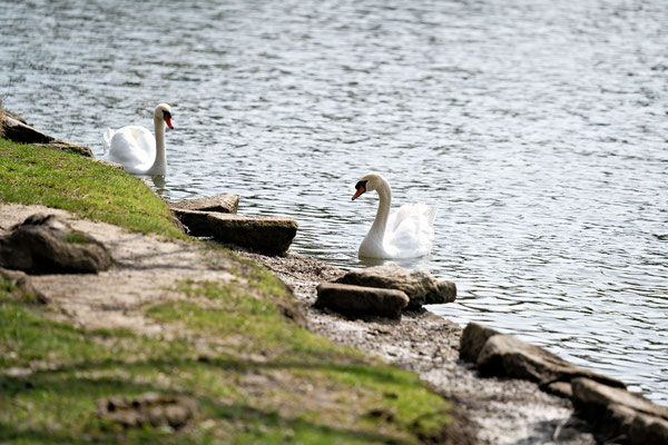 Fotowalk im Schlosspark Laxenburg