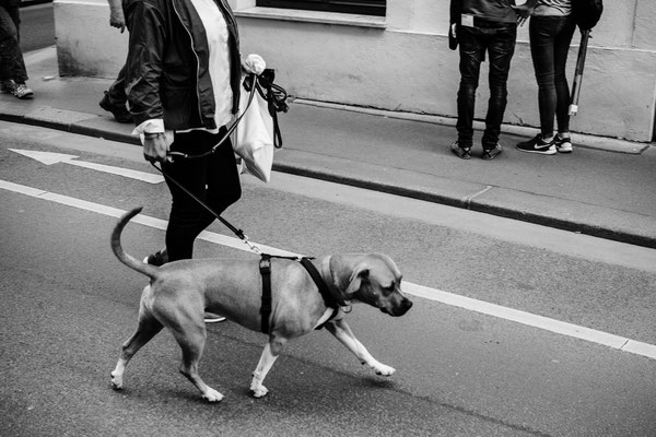 Streetphotography in Wien