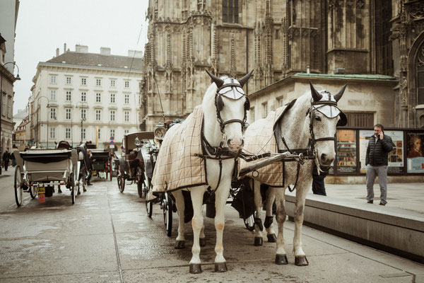 Street Photography Schulung in Wien
