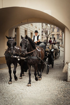 CityWalk Wien mit Fototrainer Christian Mari