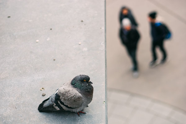 Streetphotography in Wien