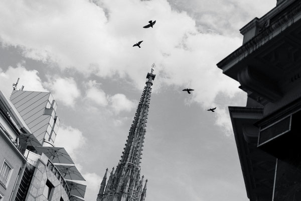CityWalk Wien mit Fototrainer Christian Mari