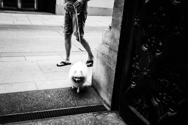 Streetphotography in Wien
