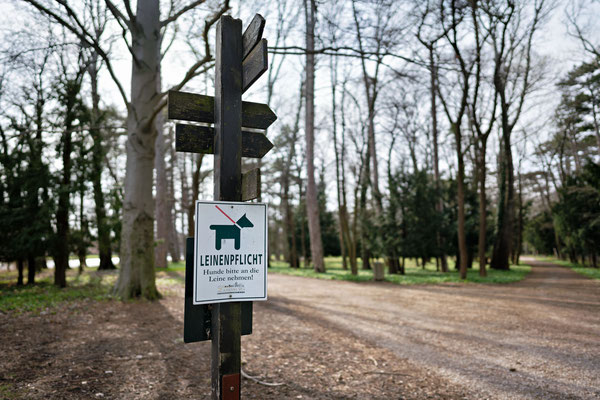 Fotowalk im Schlosspark Laxenburg