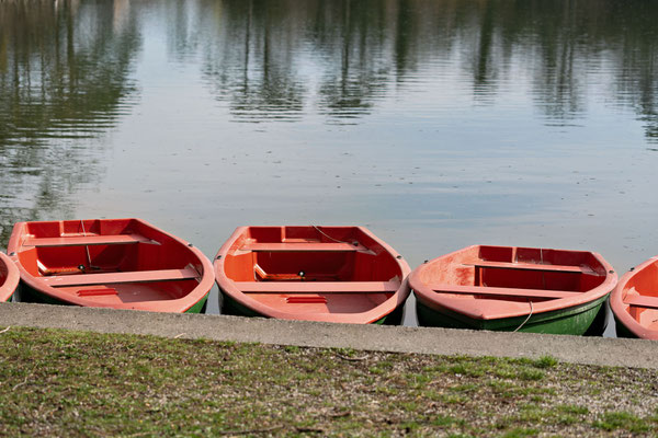 Fotowalk im Schlosspark Laxenburg